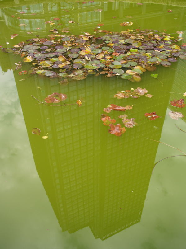 e0004009_081476.jpg