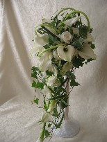f0054809_142402.jpg