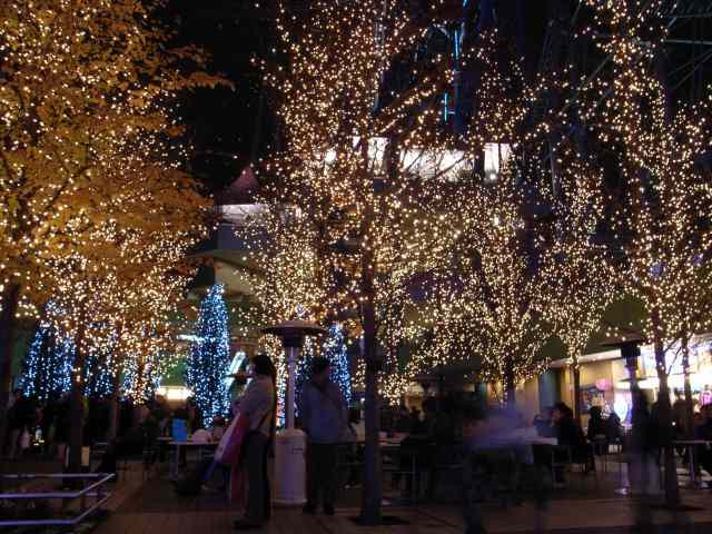 c0071611_1127264.jpg