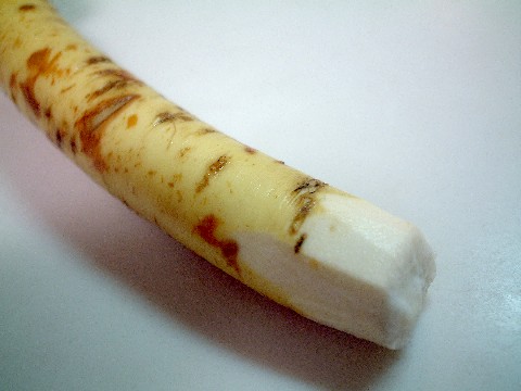 f0043911_3213775.jpg