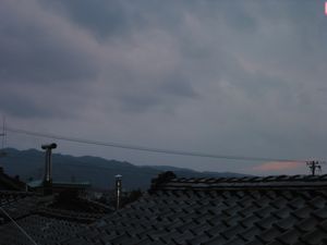 c0094218_85137.jpg