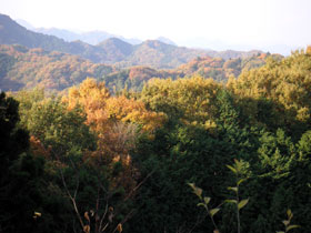 a0068424_1483980.jpg