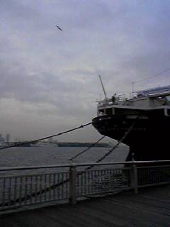 f0005826_192744.jpg