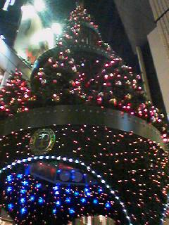f0005826_19362038.jpg