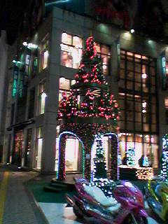 f0005826_19365222.jpg