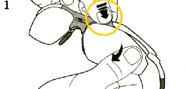 e0001036_8541191.gif