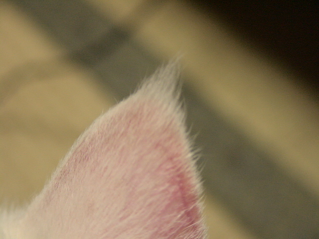 b0097145_04569.jpg