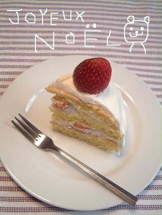 christmasドームケーキ_d0098954_16332099.jpg