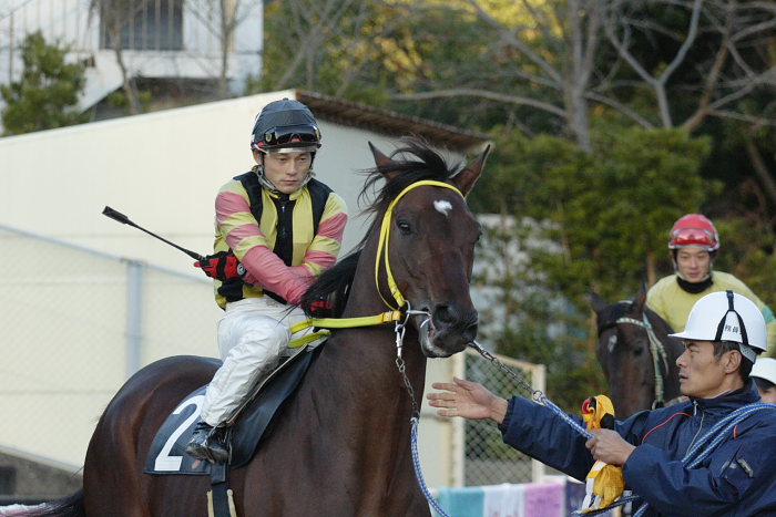 2006年12月17日(日) 高知競馬 11R_a0077663_18415980.jpg