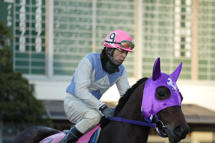 2006年12月17日(日) 高知競馬 11R_a0077663_18422375.jpg