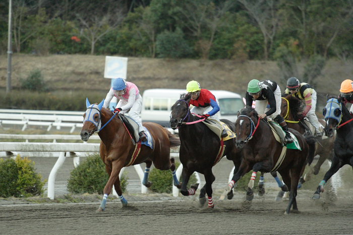 2006年12月17日（日） 高知競馬 11R_a0077663_18424770.jpg