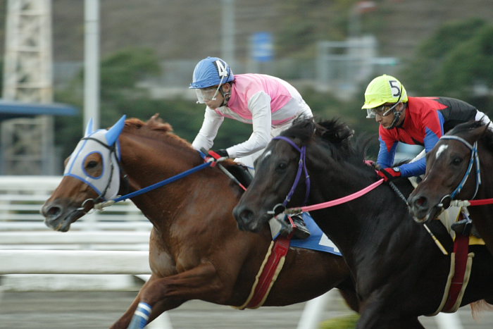 2006年12月17日(日) 高知競馬 11R_a0077663_18425896.jpg