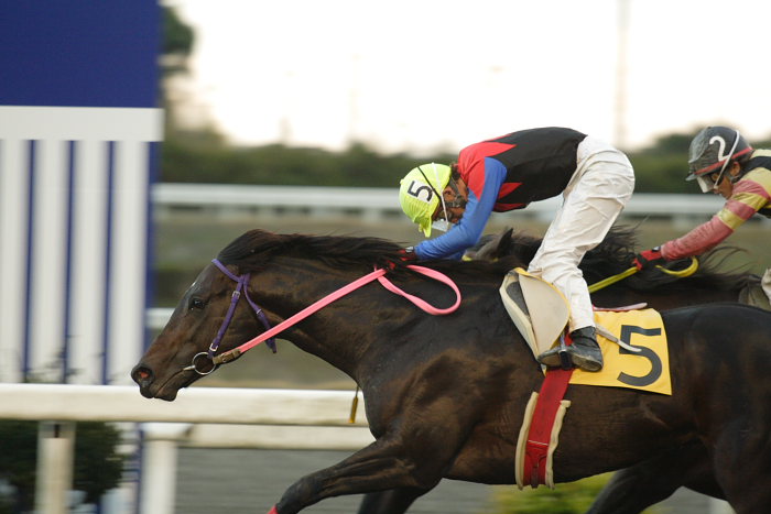 2006年12月17日(日) 高知競馬 11R_a0077663_184333100.jpg