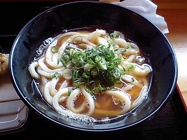 手打ち うどん たも屋_a0077663_19253511.jpg
