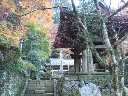 大雄山最乗寺（歴史的建造史跡）_e0101172_22245918.jpg