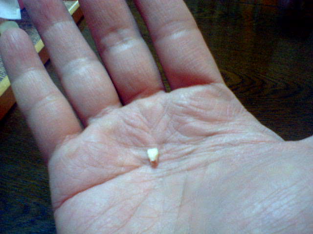 f0043780_133058.jpg