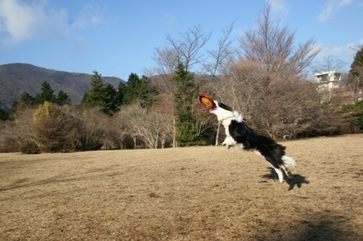 f0034602_10203070.jpg
