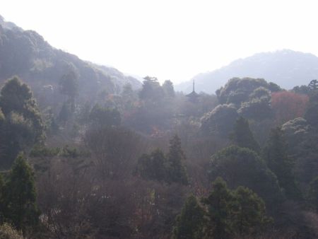 b0057103_1444444.jpg