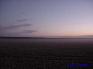 a0079306_746582.jpg