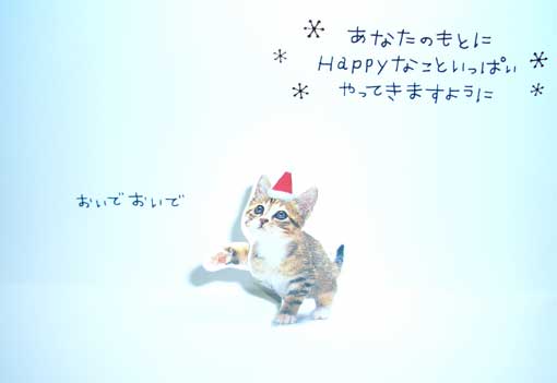 クリスマスイブ_c0105306_2242140.jpg