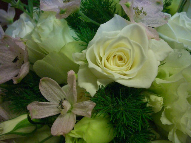d0050713_17461555.jpg
