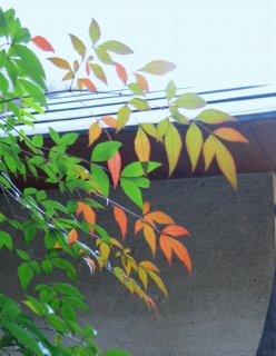 e0010418_10561690.jpg