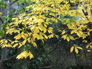 e0010418_10562563.jpg