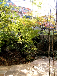e0010418_10564992.jpg