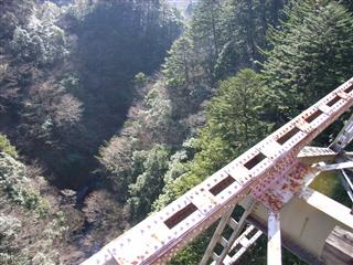 c0039428_22122745.jpg