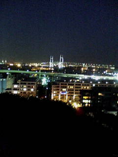 yokohama night ☆_c0075931_14431384.jpg