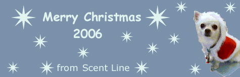 メリークリスマス!_c0099133_316320.jpg