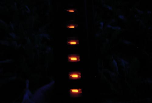 c0072843_18609.jpg