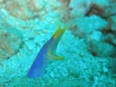 d0065247_1815445.jpg