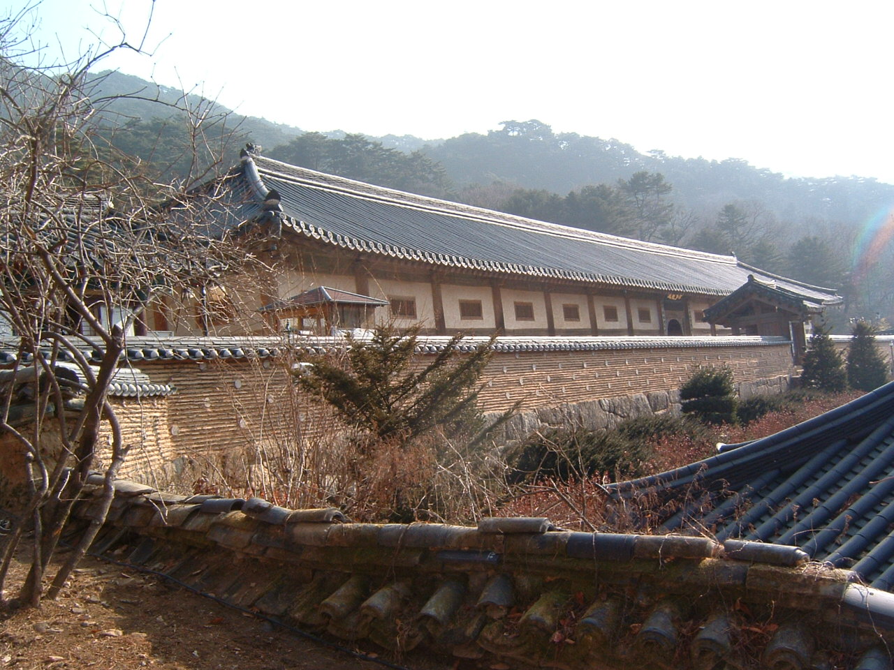 c0030954_1985863.jpg