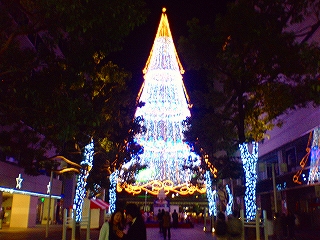 12/23 名古屋レインボーホール_c0098756_1411024.jpg