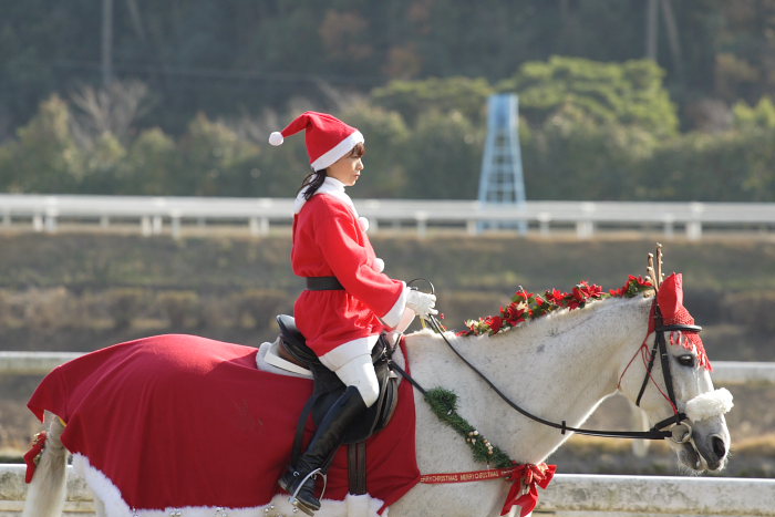 2006年12月24日（日） 高知競馬 10R ポインセチア特別_a0077663_18511028.jpg
