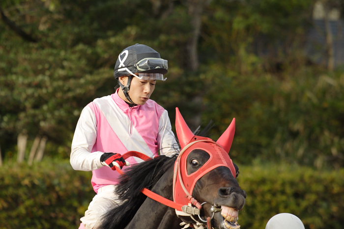 2006年12月24日（日） 高知競馬 10R ポインセチア特別_a0077663_18513127.jpg
