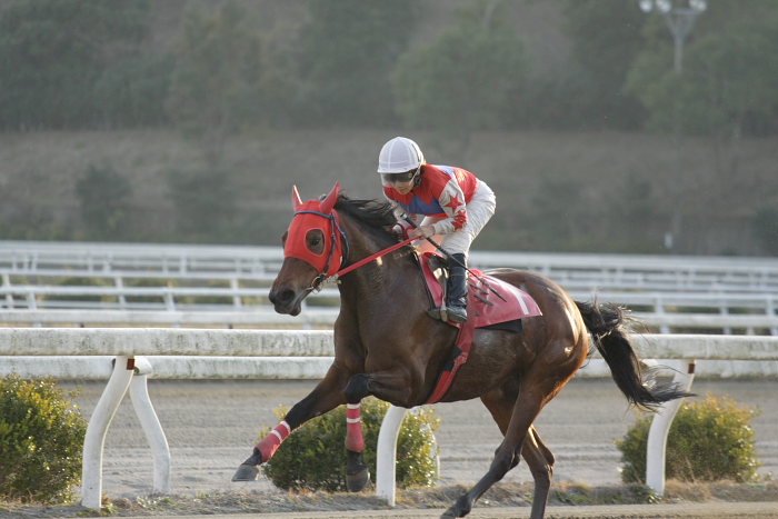 2006年12月24日（日） 高知競馬 10R ポインセチア特別_a0077663_18515596.jpg