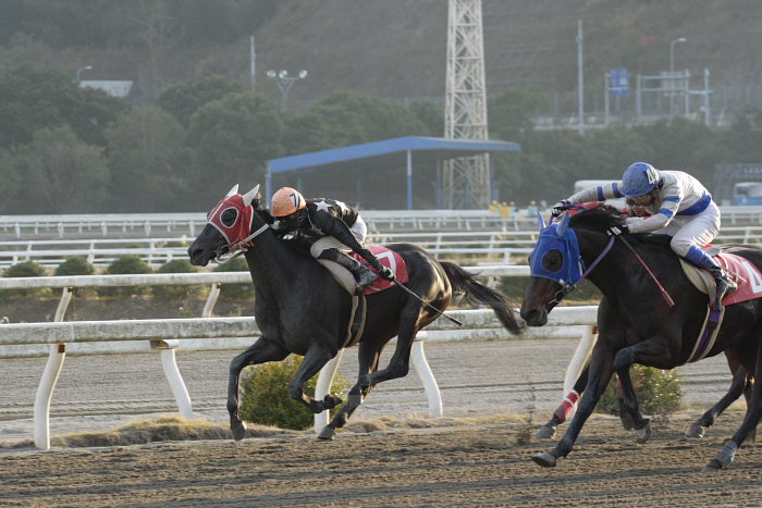 2006年12月24日（日） 高知競馬 10R ポインセチア特別_a0077663_18521573.jpg