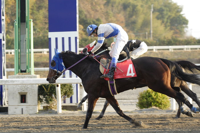 2006年12月24日（日） 高知競馬 10R ポインセチア特別_a0077663_18523868.jpg