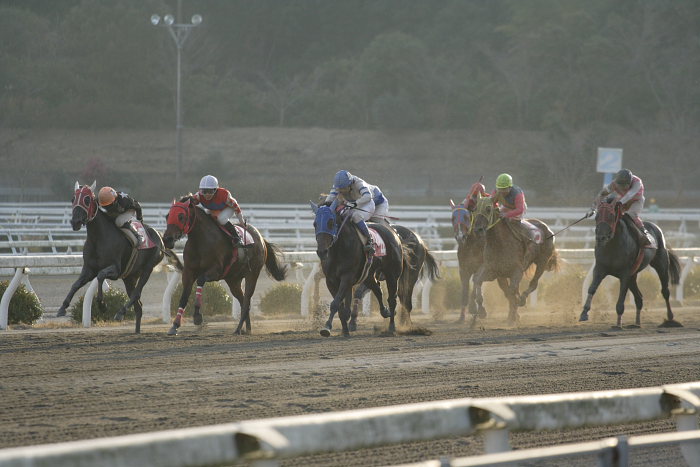 2006年12月24日（日） 高知競馬 10R ポインセチア特別_a0077663_1852643.jpg