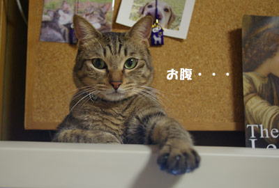 a0064067_0214153.jpg
