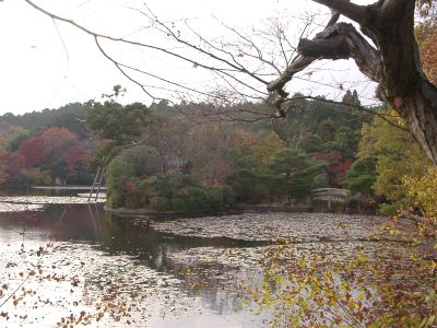 京都社員旅行　初日_b0005286_21264547.jpg