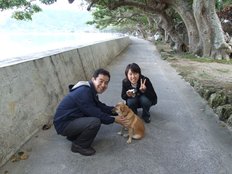 加計呂麻島から、メリークリスマス!_e0028387_22195780.jpg