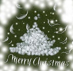 Merry Christmas♪_b0105897_750385.jpg