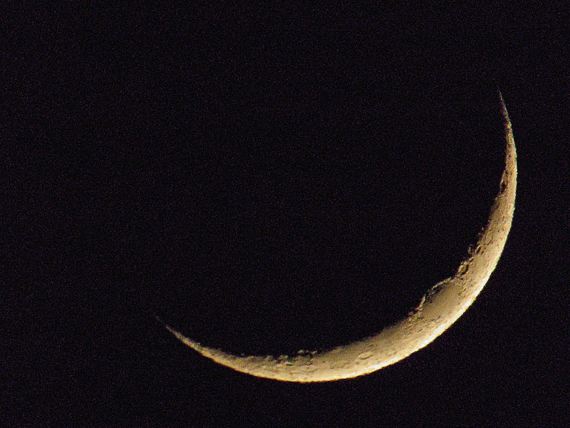 b0024798_546554.jpg