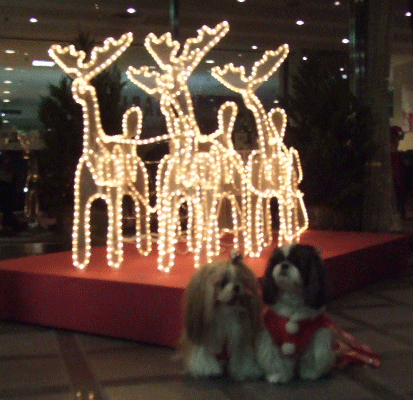 e0050801_238422.gif