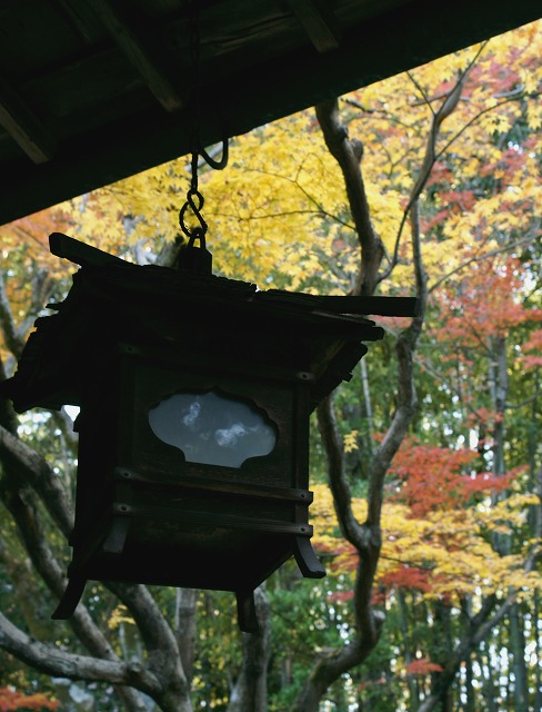 e0039703_0244990.jpg