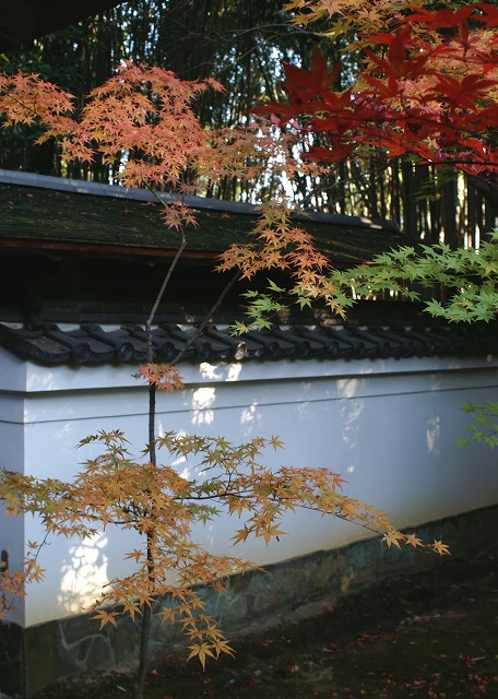e0039703_0253553.jpg