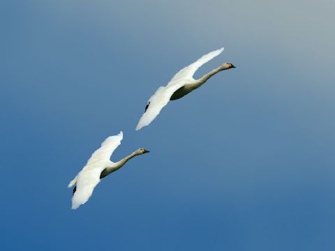 e0103903_20211410.jpg